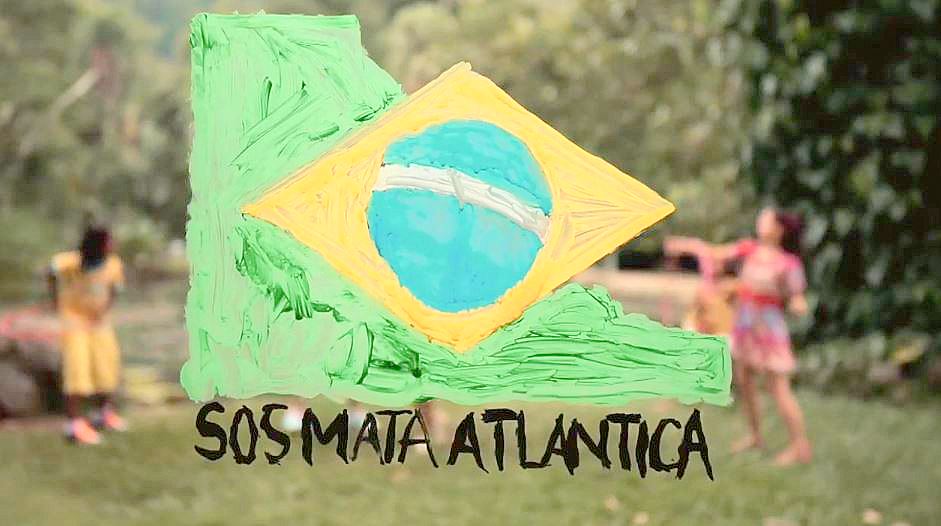 SOS Mata Atlântica celebra 29 anos