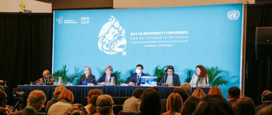 Evento na COP15 apresenta Mata Atlâ...